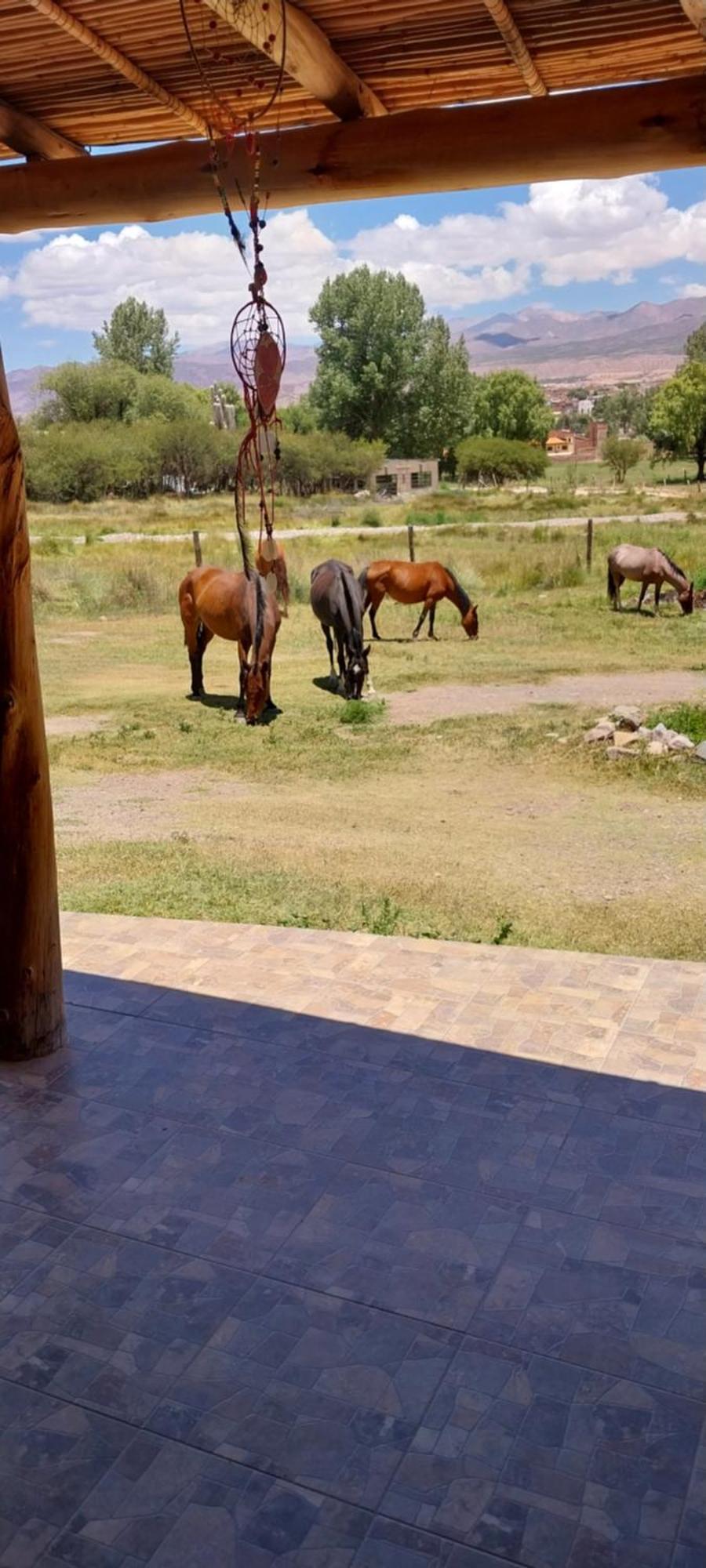 Cabanitas El Reposo Humahuaca Exterior foto